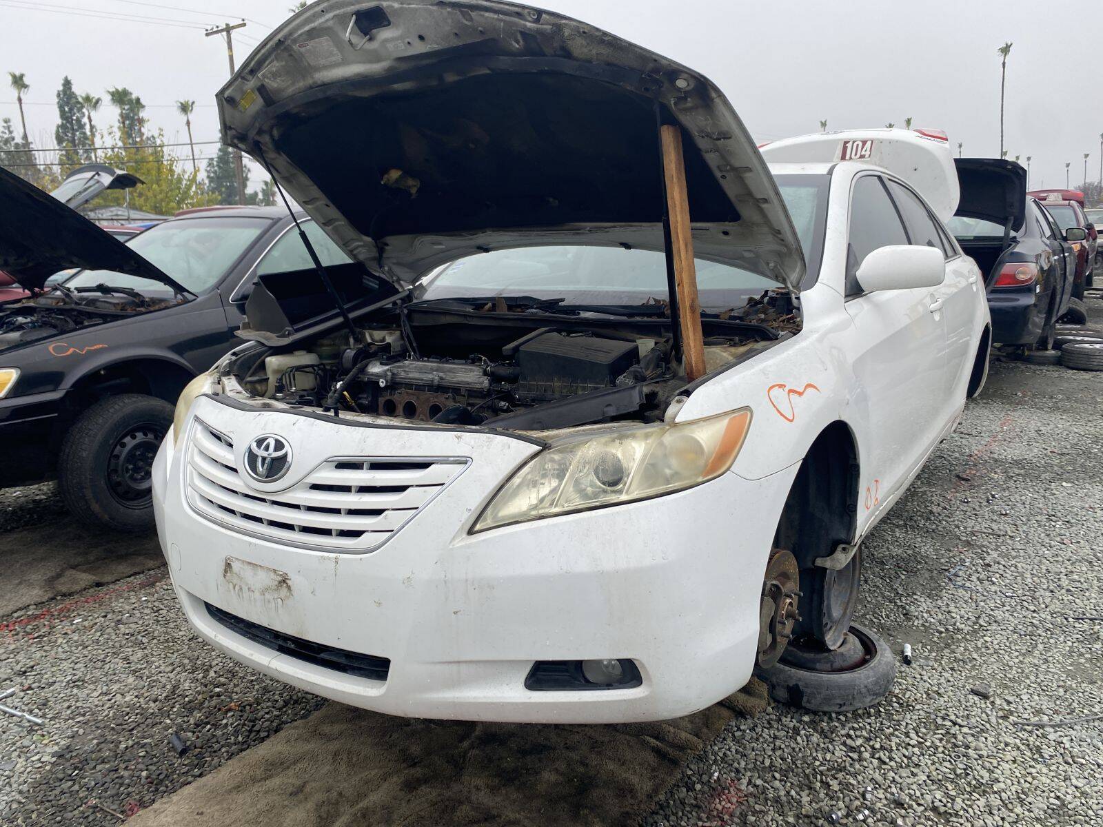 Catalog item SAC045181