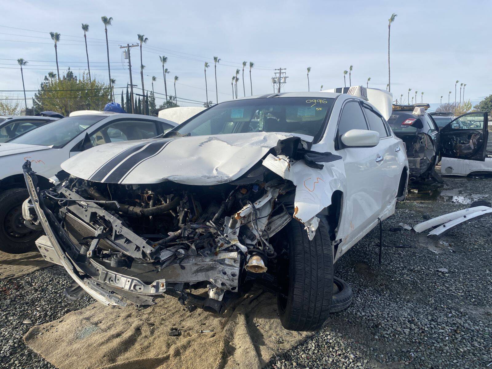 Catalog item SAC045374