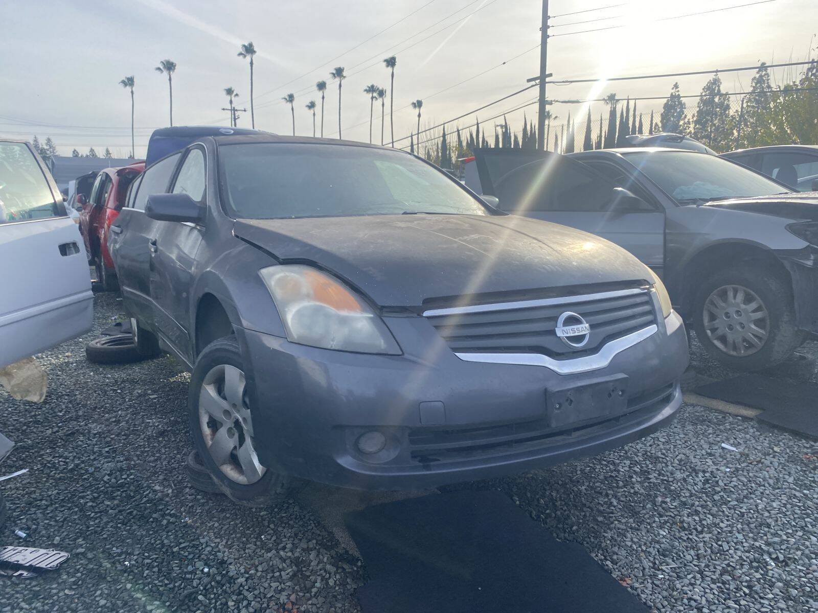 Catalog item SAC045435