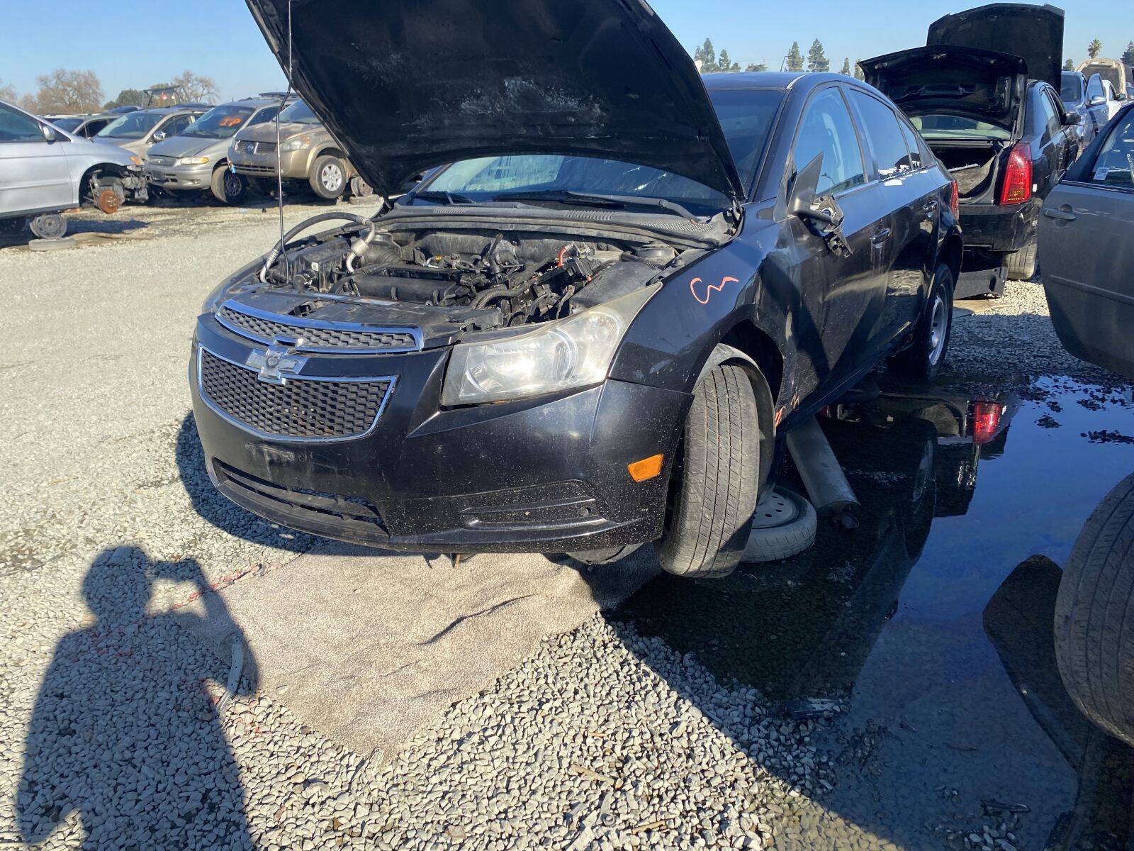 Artículo del catálogo SAC045477