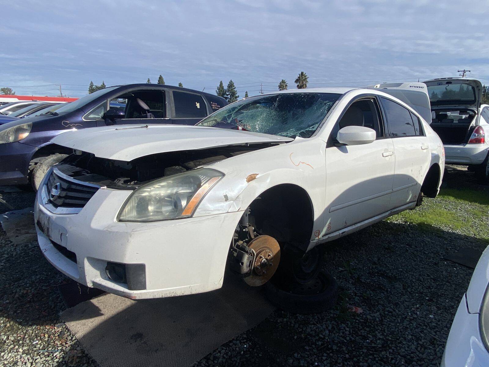 Catalog item SAC045550