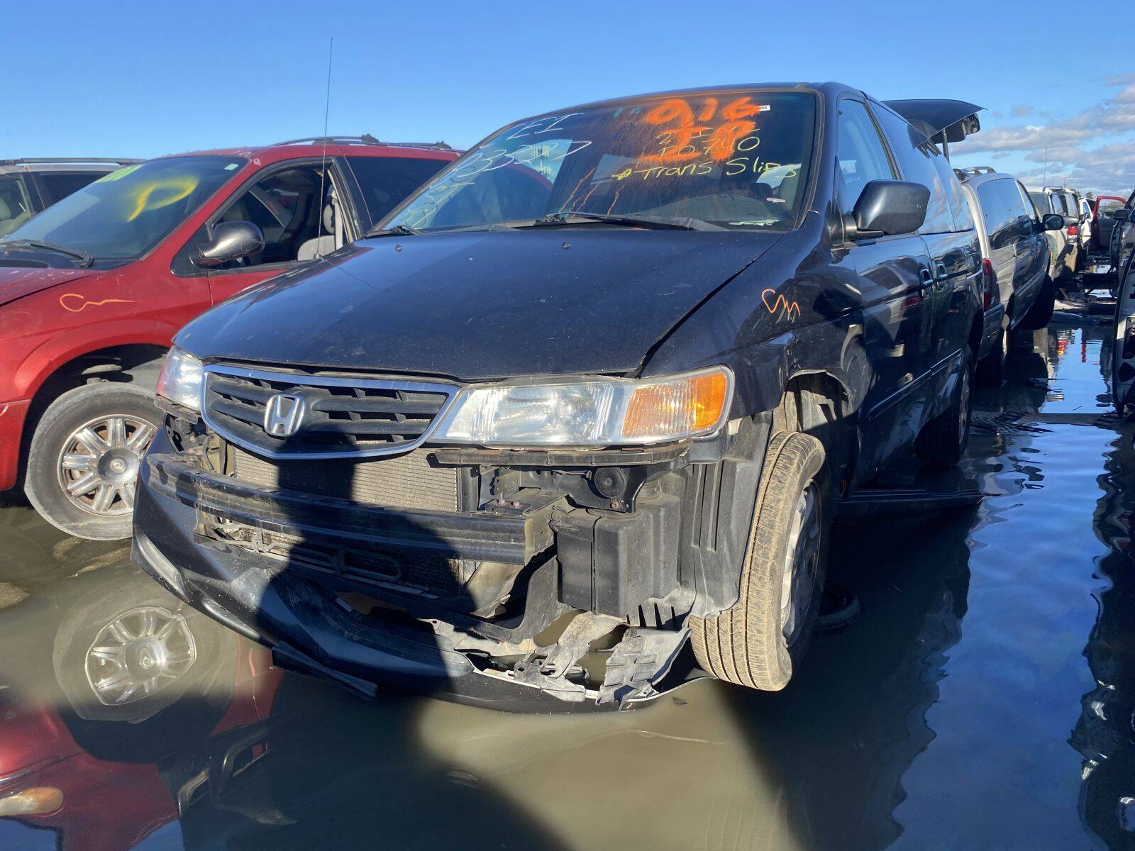 Catalog item SAC045566