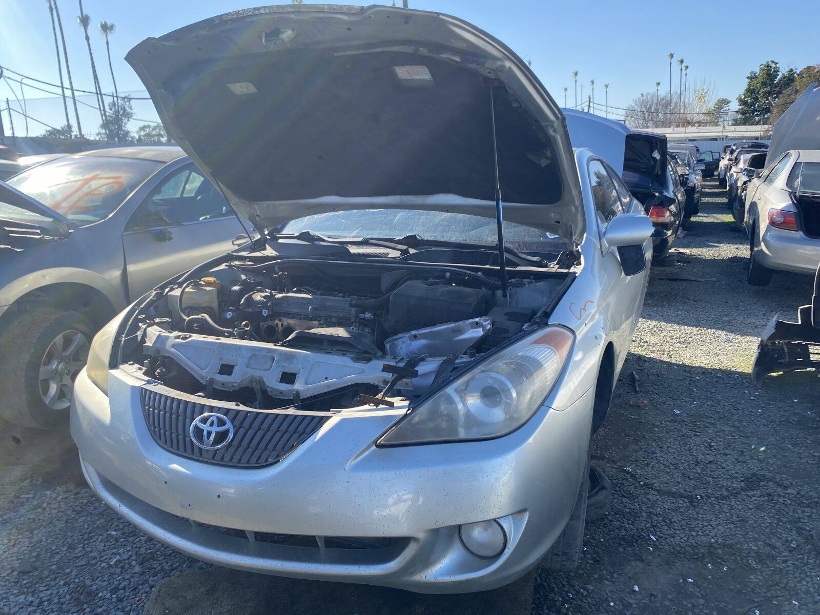 Catalog item SAC045571