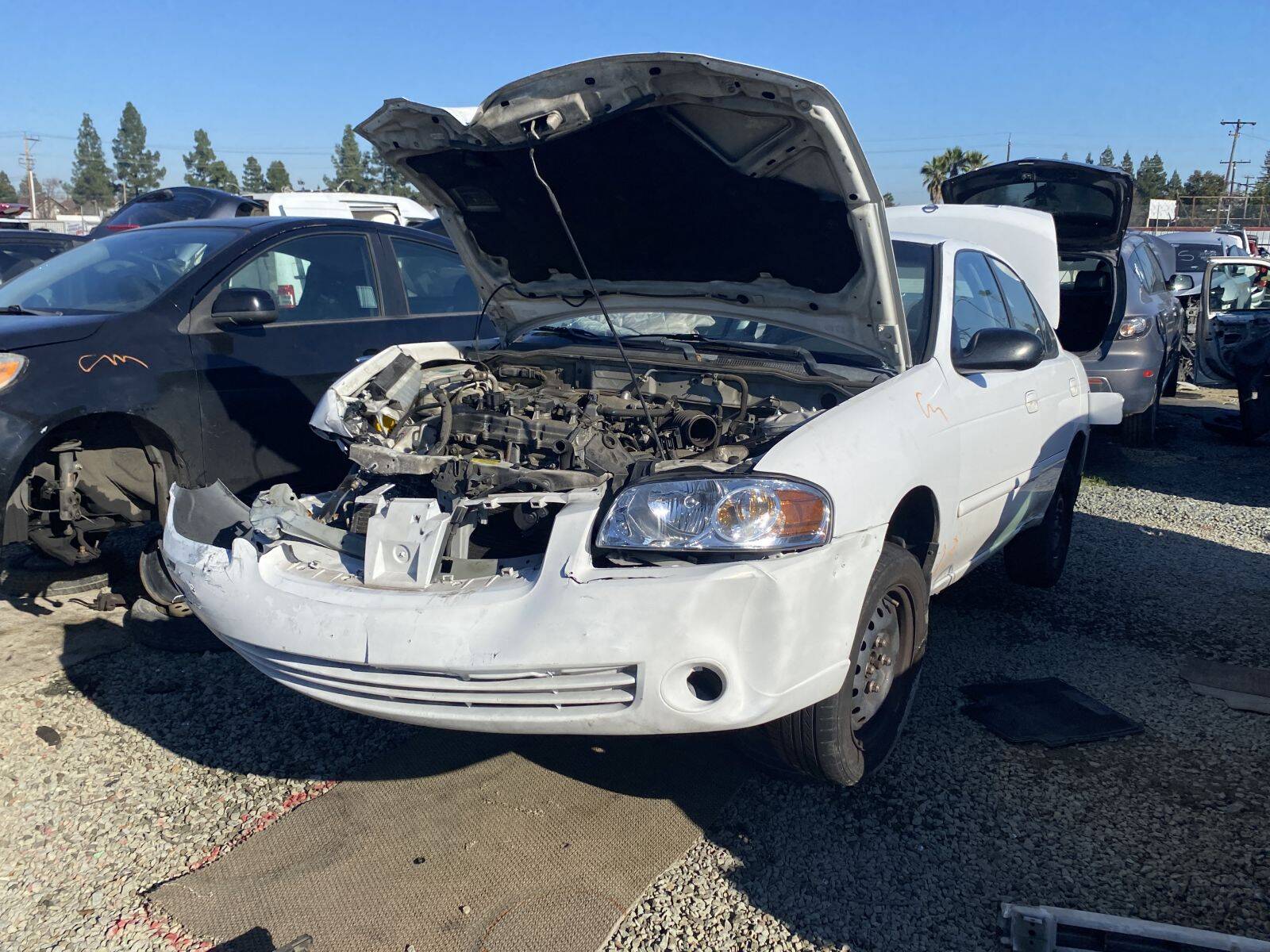 Catalog item SAC045626