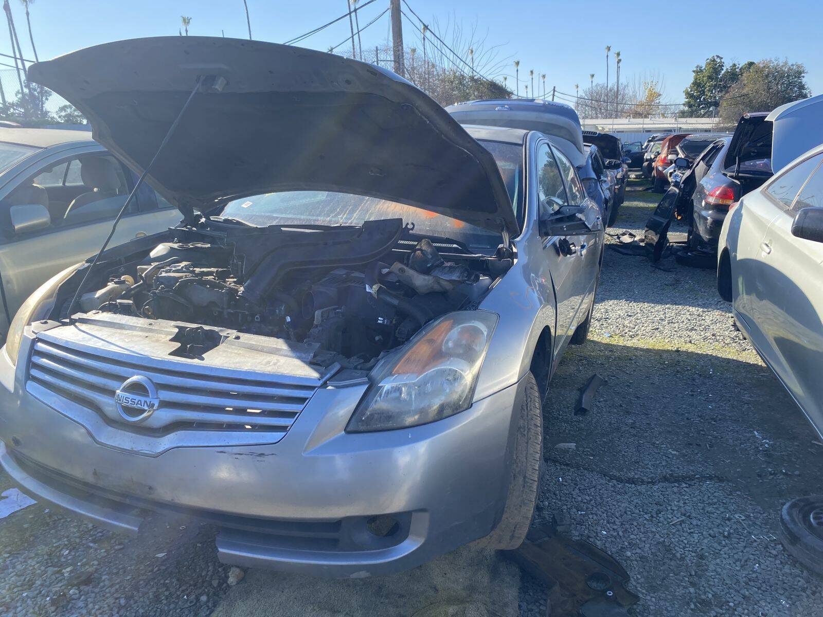 Catalog item SAC045639