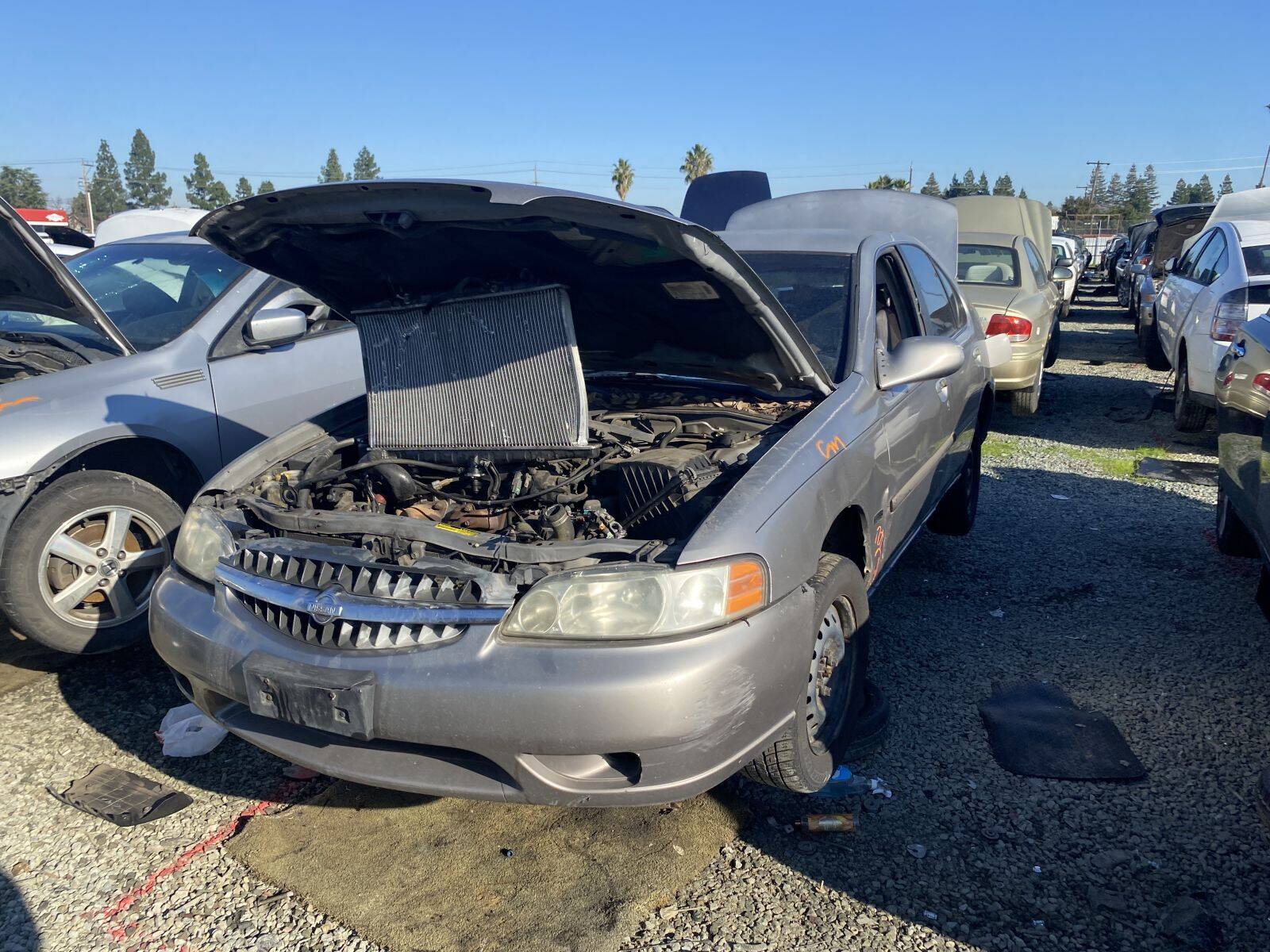 Catalog item SAC045695