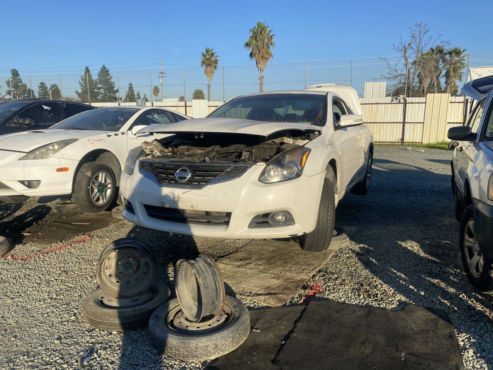 Catalog item SAC045709