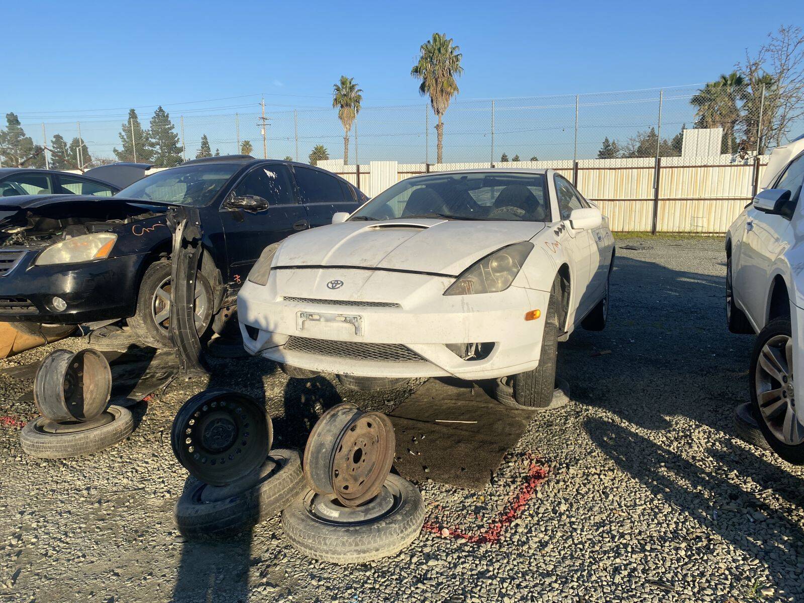 Catalog item SAC045712