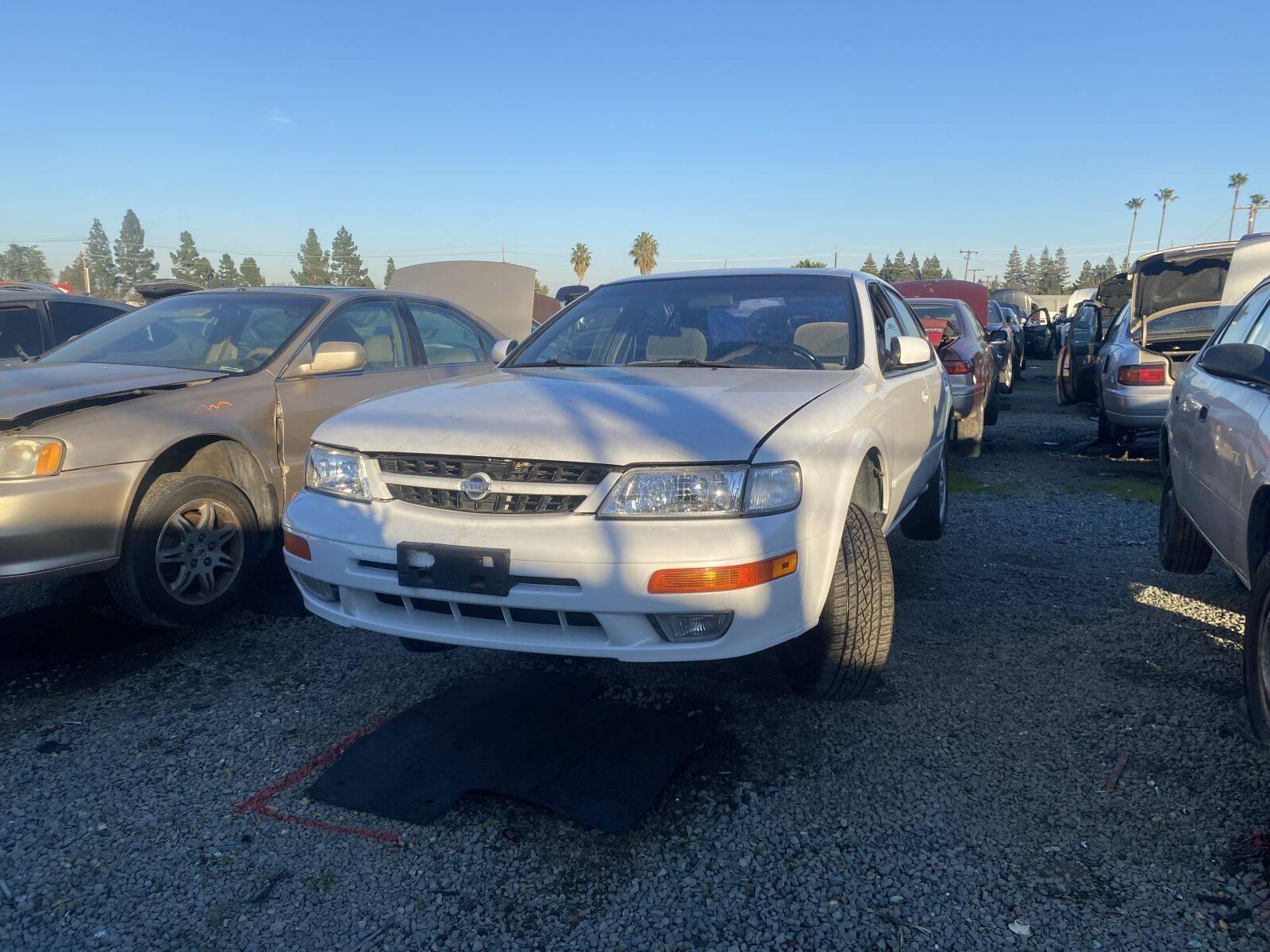 Catalog item SAC045800