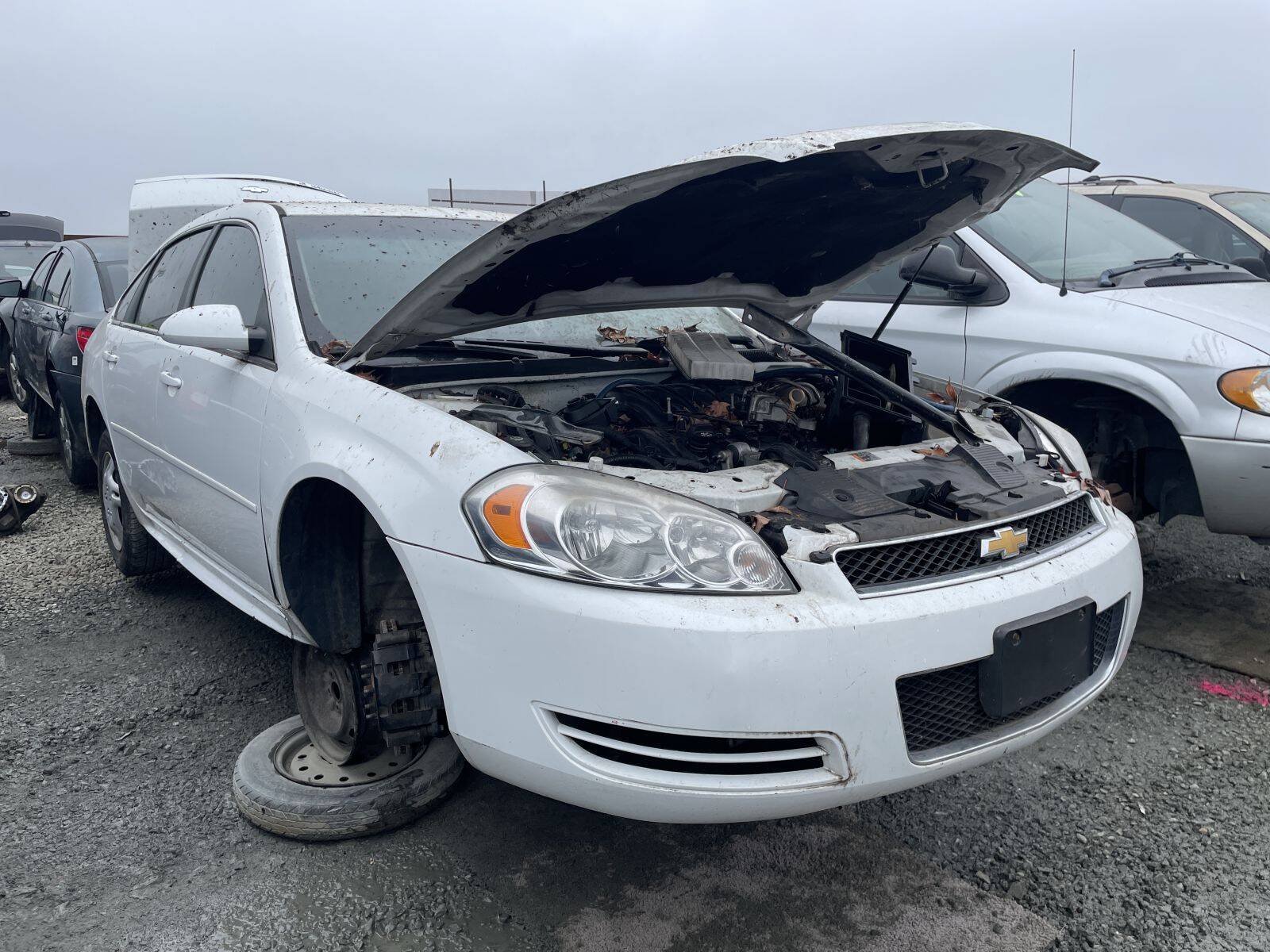 Artículo del catálogo STK054810