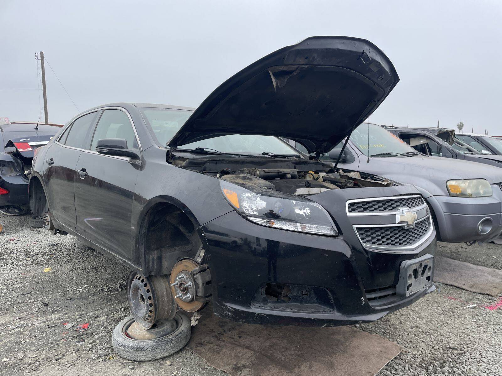 Artículo del catálogo STK054900