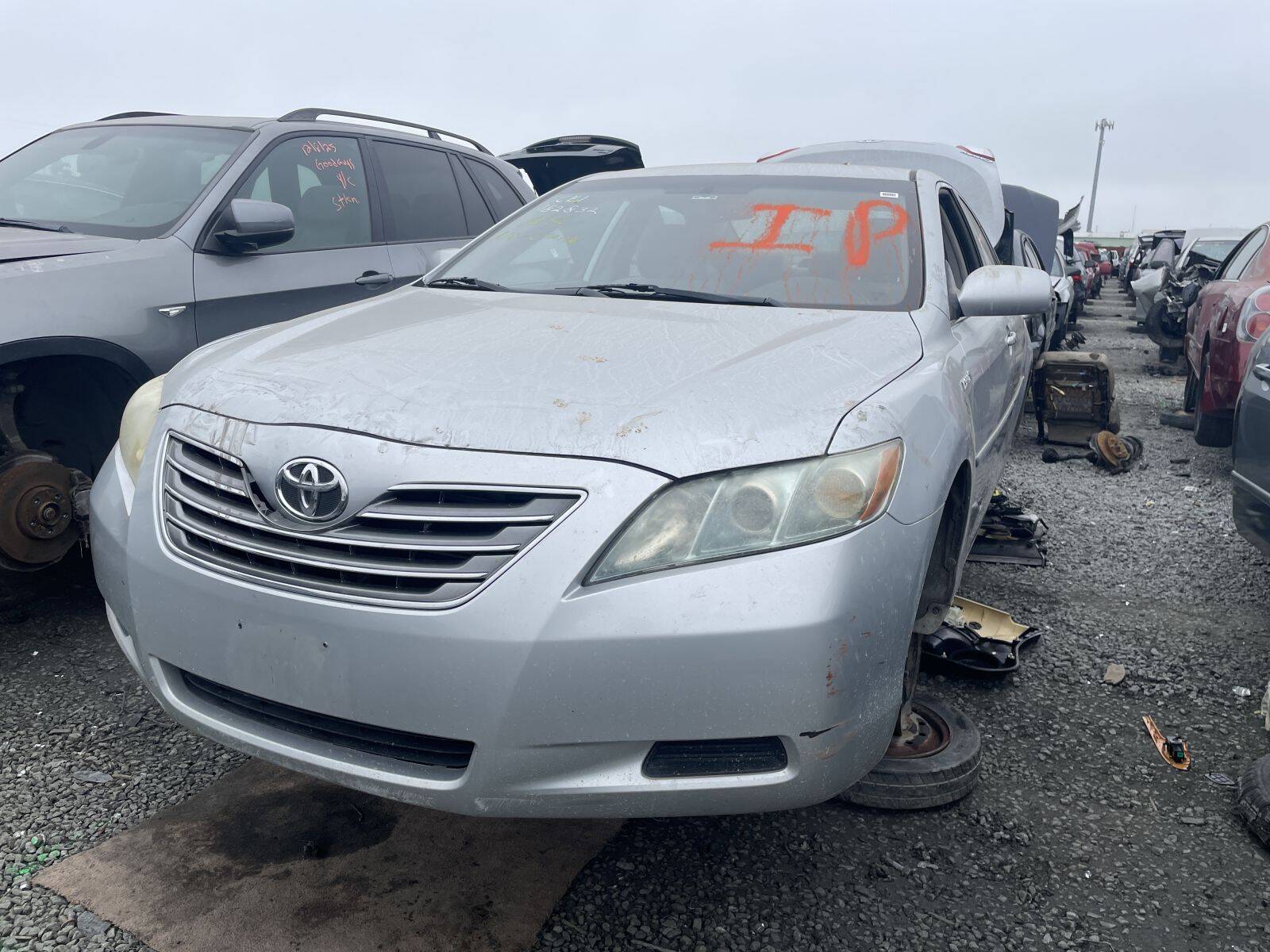 Catalog item STK054944