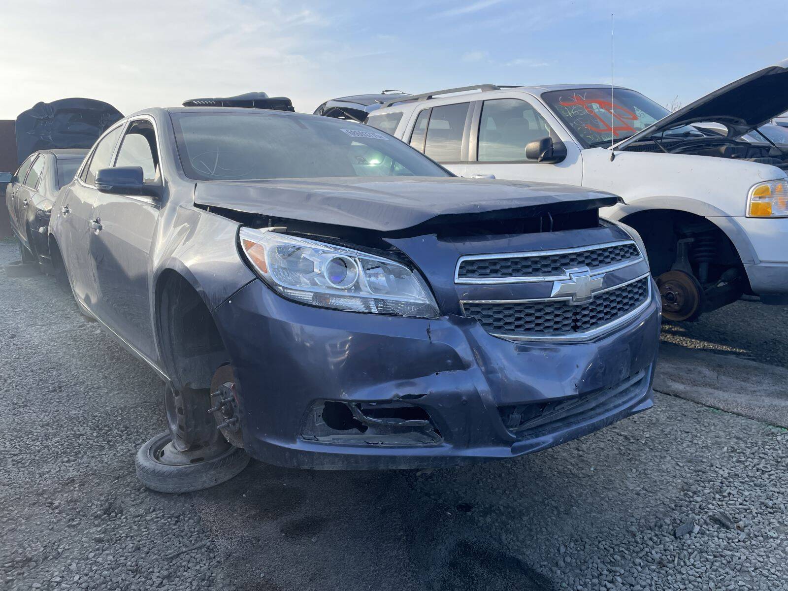 Artículo del catálogo STK054979