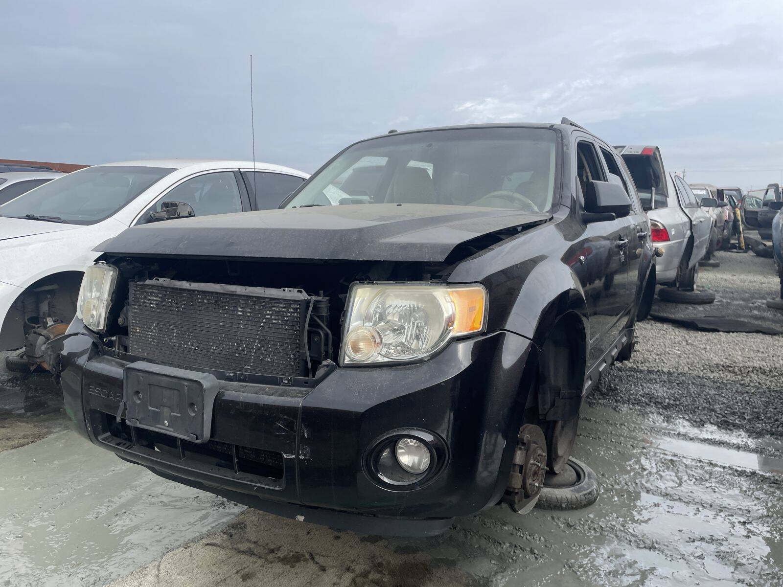 Artículo del catálogo STK055040