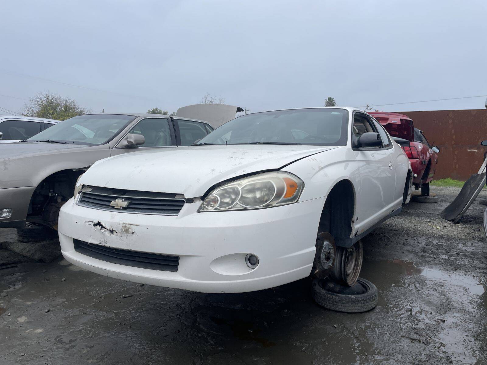 Artículo del catálogo STK055047