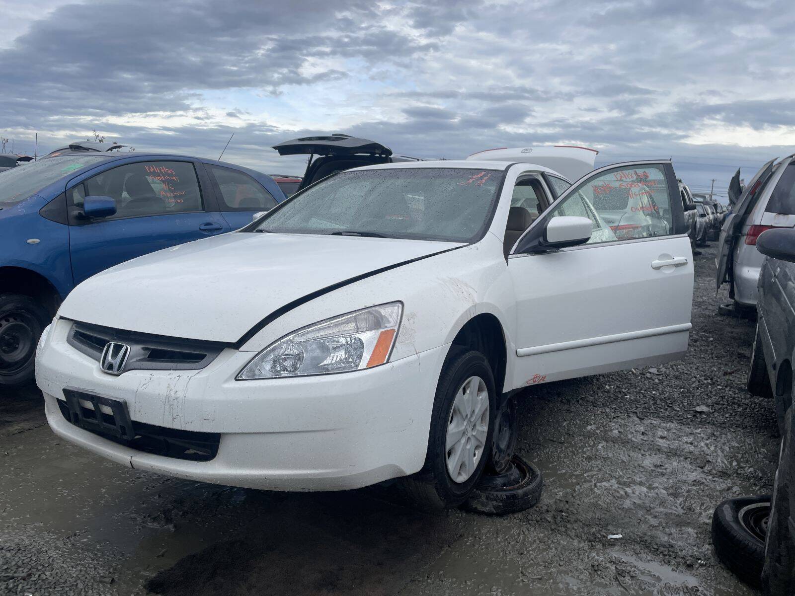 Catalog item STK055096