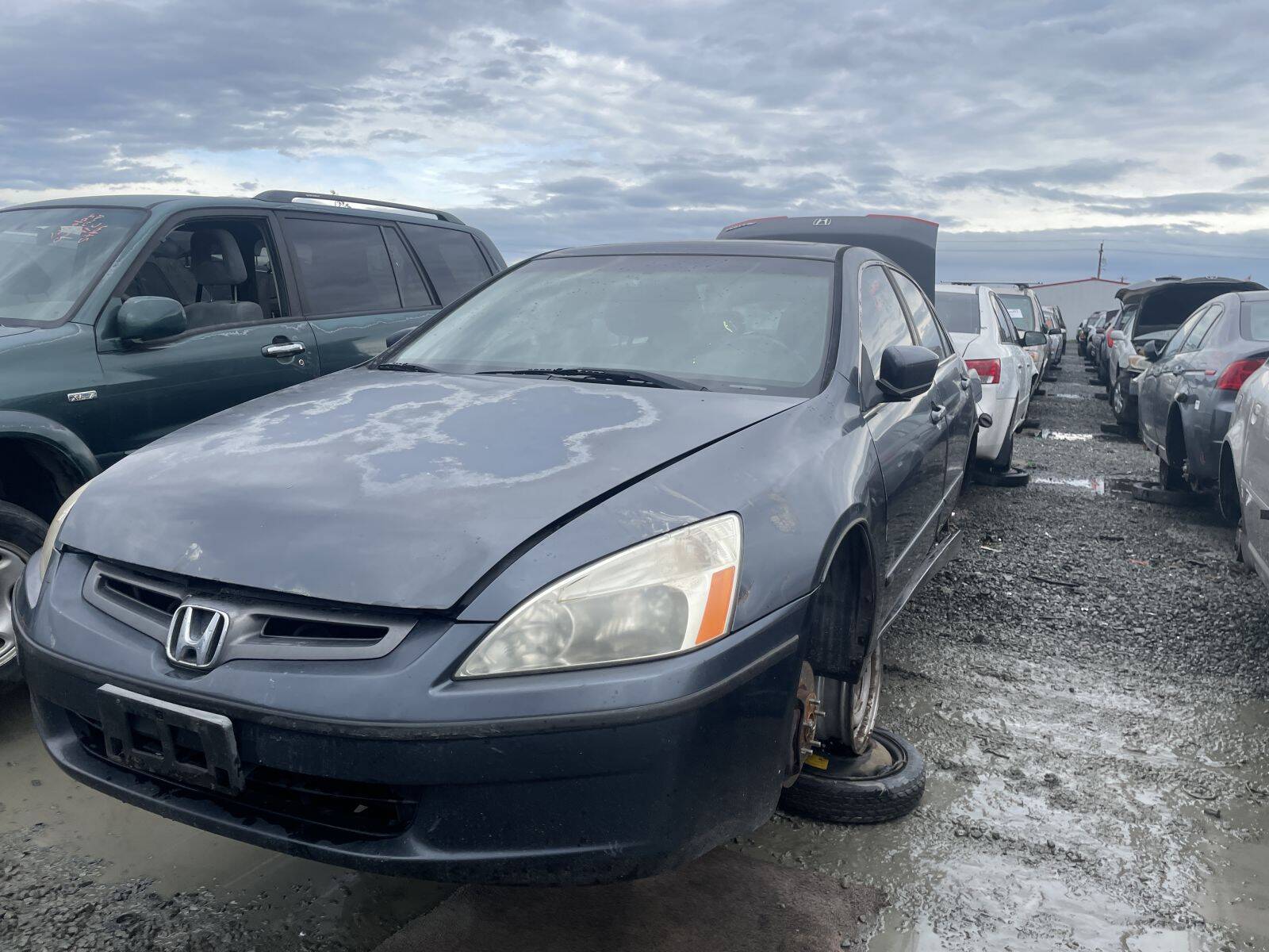 Artículo del catálogo STK055099