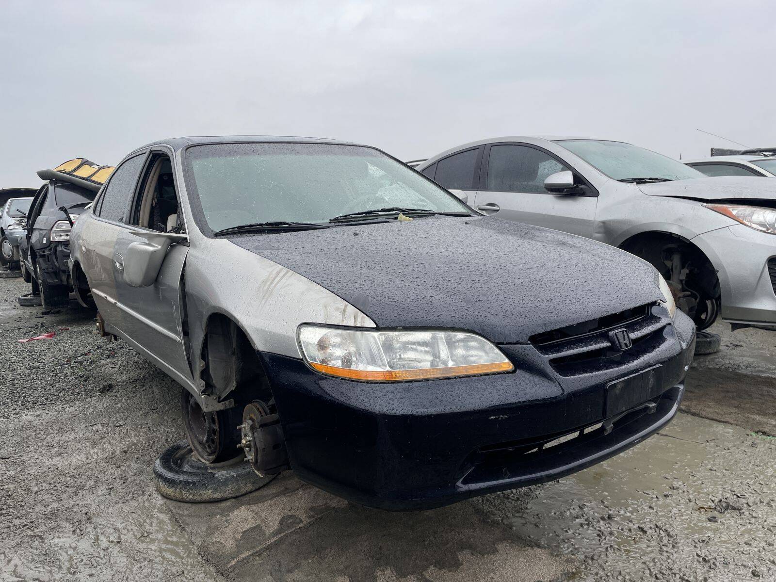 Catalog item STK055216