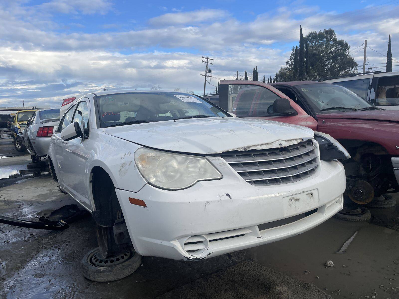 Artículo del catálogo STK055229