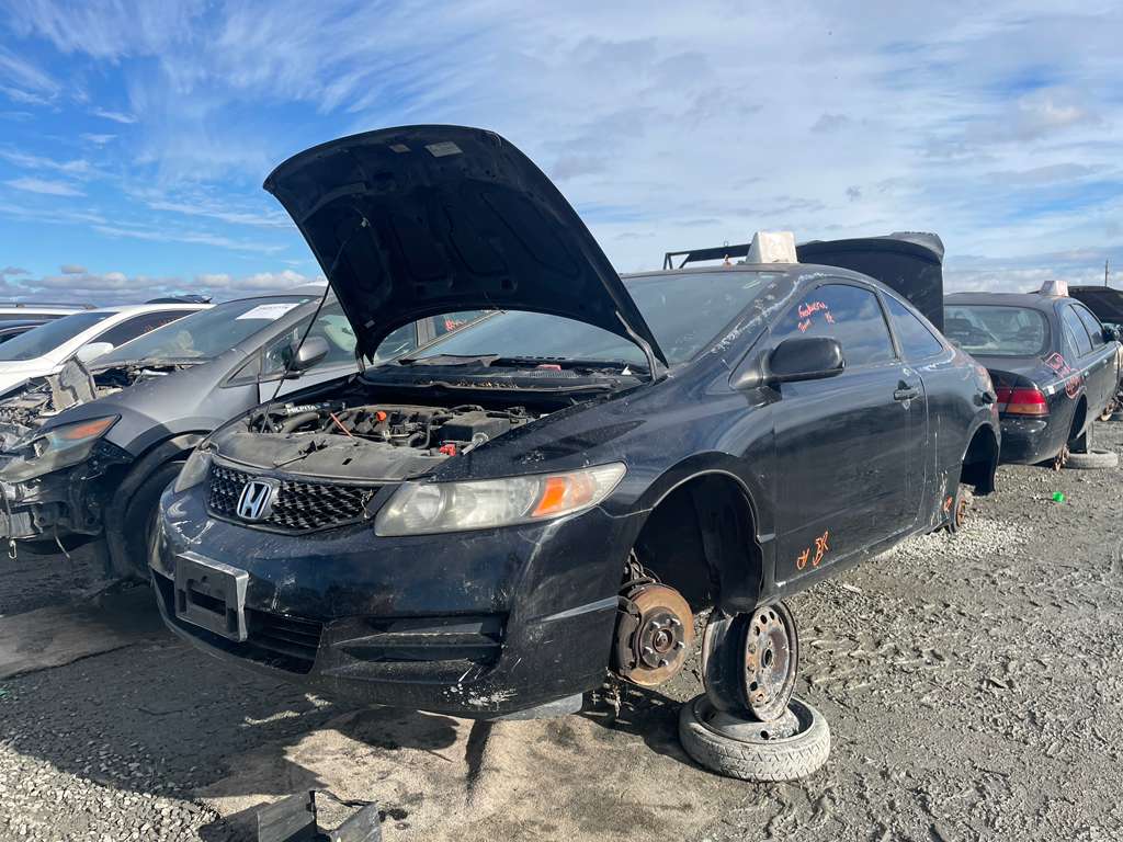 Artículo del catálogo STK055287