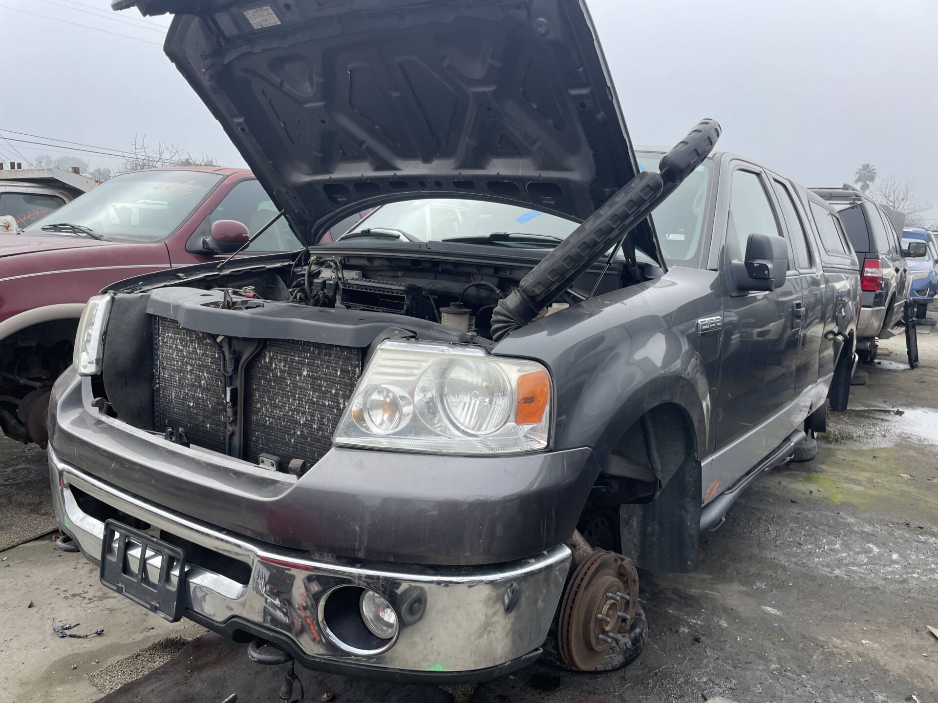 Artículo del catálogo STK055347