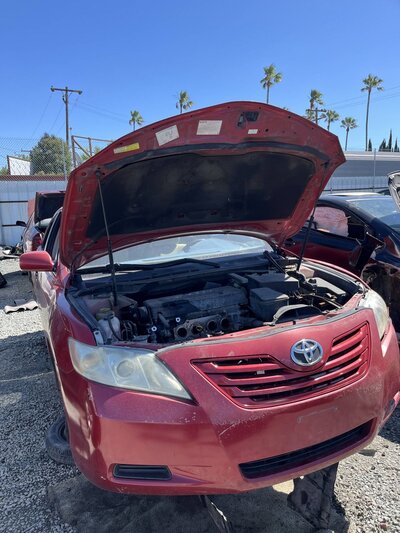 Catalog item SAC048009