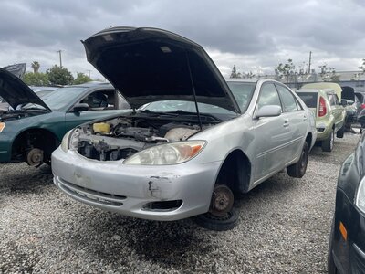 Catalog item POM063552