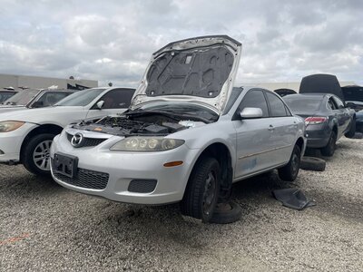 Catalog item POM063677