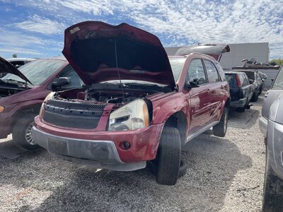 Catalog item POM063886