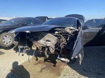 Catalog item SAC046369