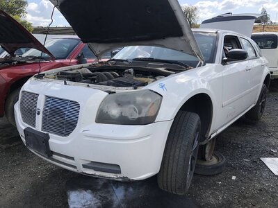 Catalog item FRE113205