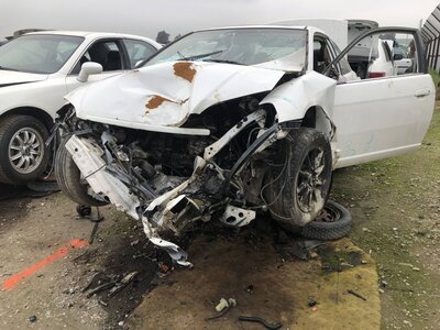 Catalog item FRE110311