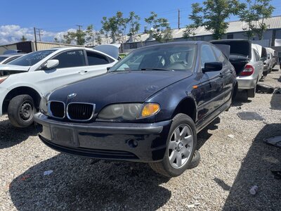 Catalog item POM063869