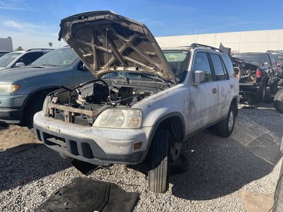 Catalog item POM063167