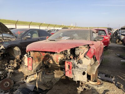 Catalog item FRE107456