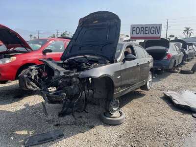 Catalog item POM063700