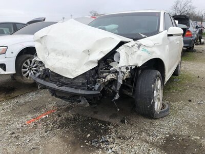 Catalog item FRE110220