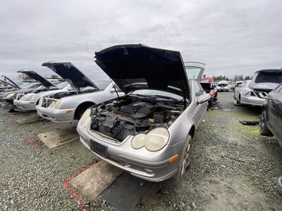 Catalog item SAC046705