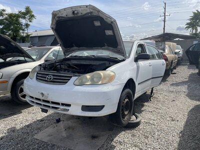 Catalog item POM063979