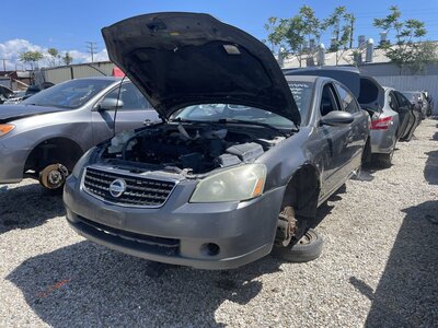 Catalog item POM063895