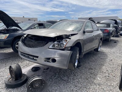 Catalog item POM063832