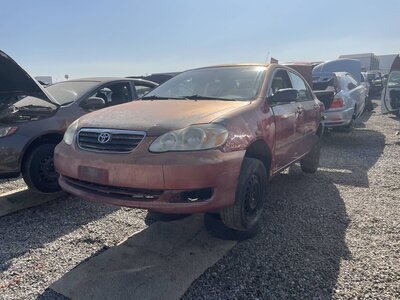 Catalog item POM063535