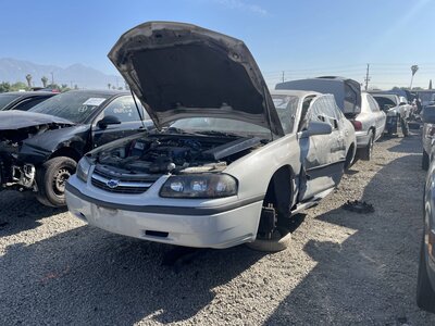 Catalog item POM063404