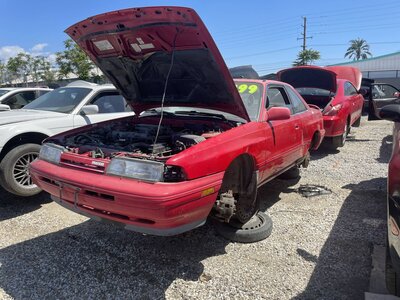 Catalog item POM062203