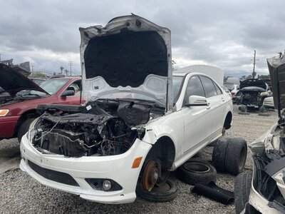 Catalog item POM063657