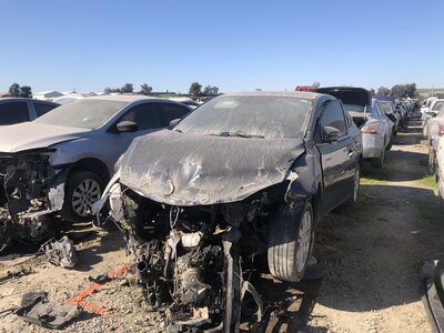 Catalog item FRE110829