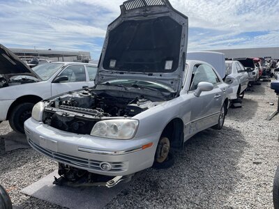 Catalog item POM063866