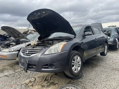 Catalog item POM063289