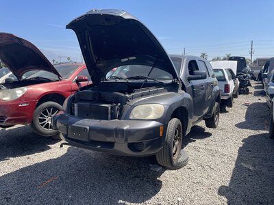 Catalog item POM063789