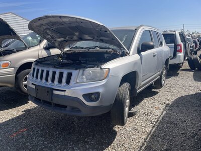 Catalog item POM063788